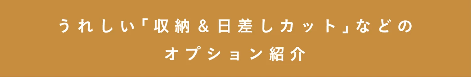 オプション紹介
