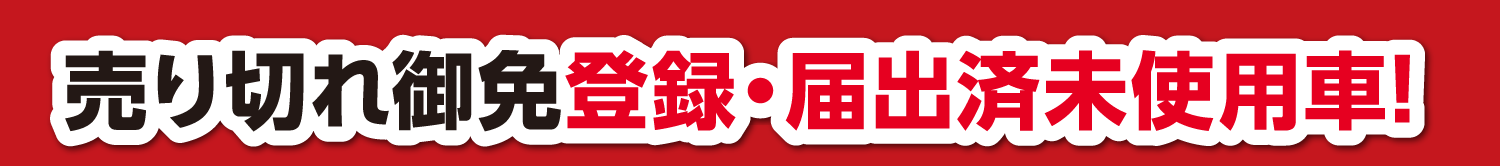 売り切れ御免登録・届出済未使用車