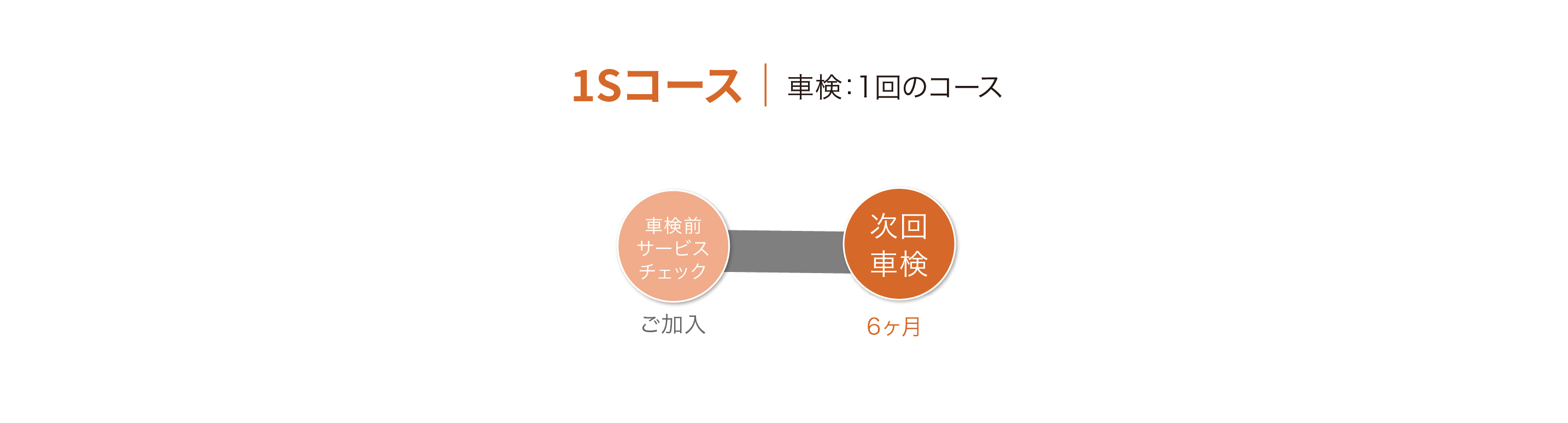 シンプルプラン 1Sコース