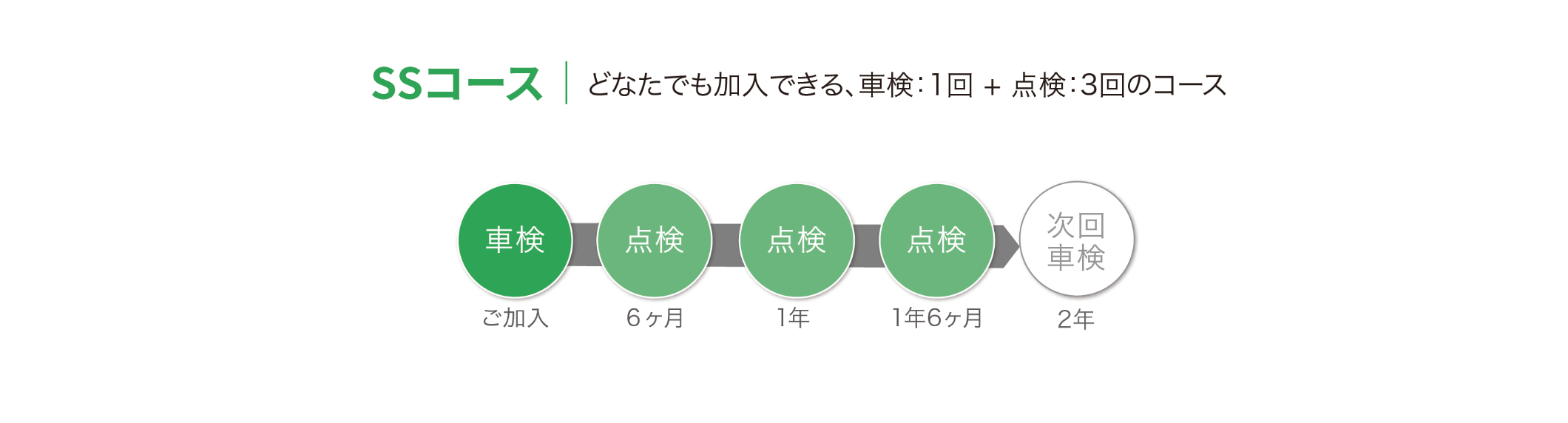 スタンダードプラン SSコース
